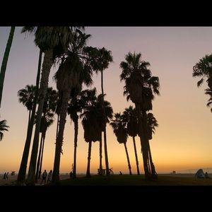 Meet your Posher, Aline